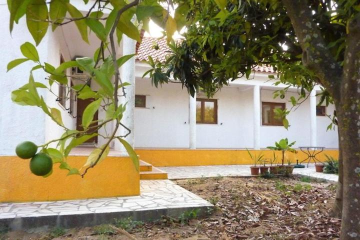 Bed and Breakfast Quinta Laranjal Da Arrabida Palmela Exterior foto