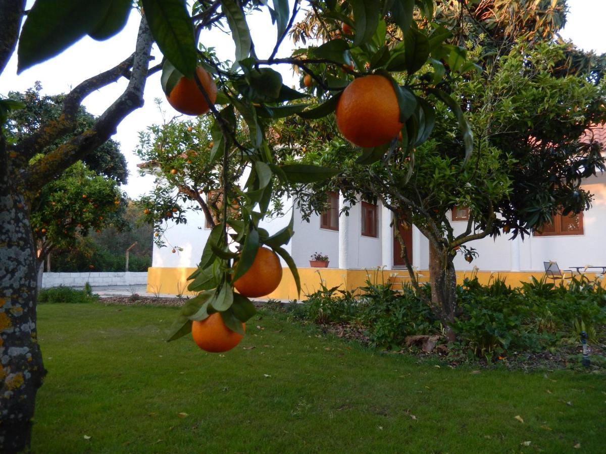 Bed and Breakfast Quinta Laranjal Da Arrabida Palmela Exterior foto