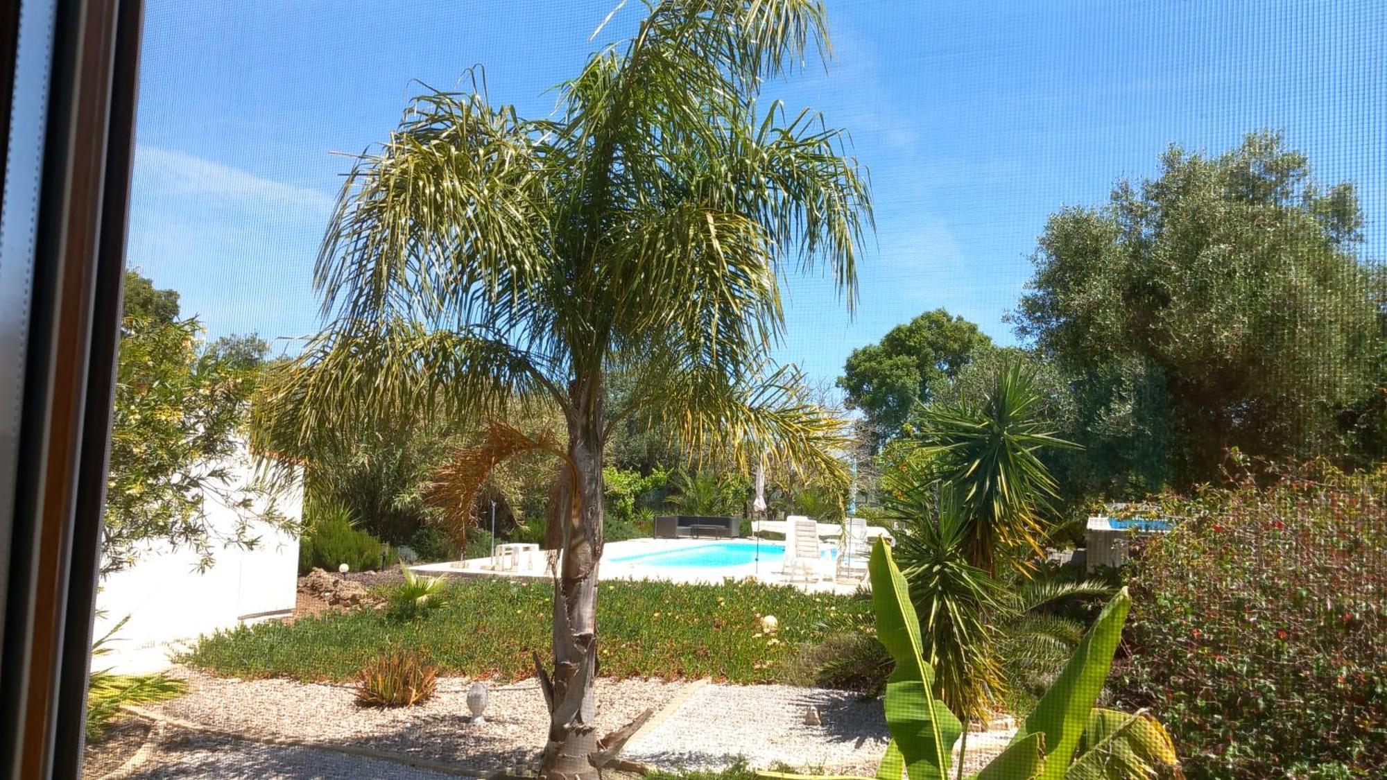 Bed and Breakfast Quinta Laranjal Da Arrabida Palmela Exterior foto